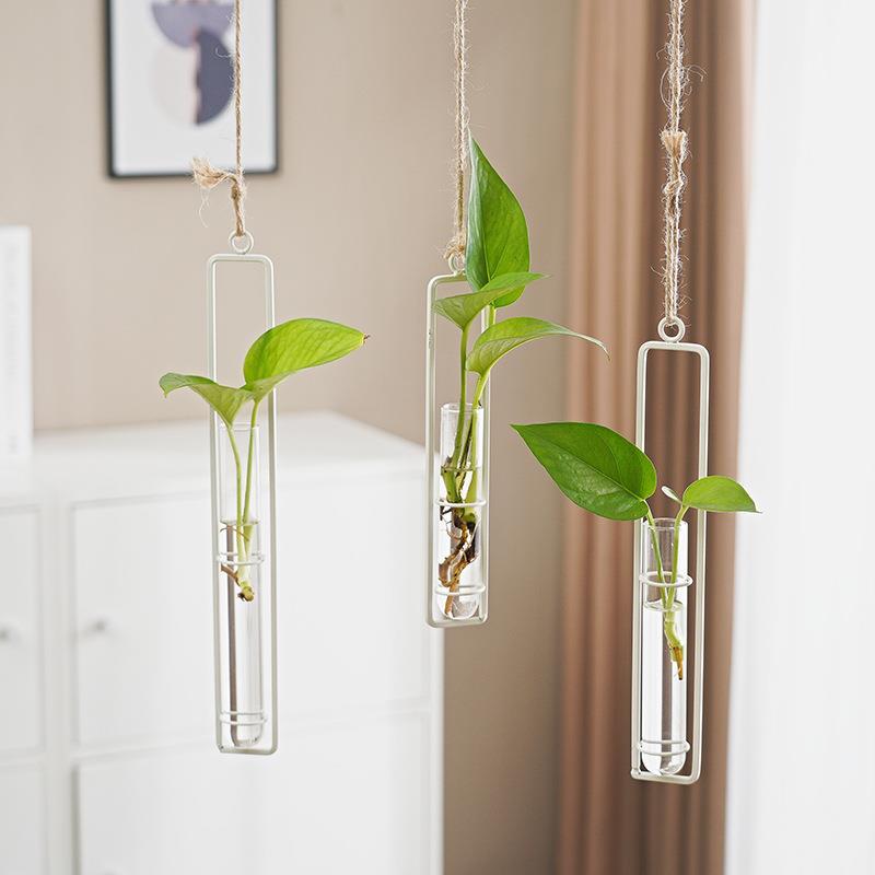 Scandinavian-Style Glass Hydroponic Cultivation hanging pot