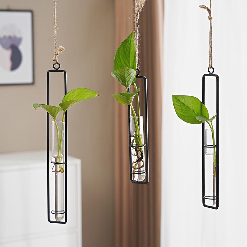 Scandinavian-Style Glass Hydroponic Cultivation hanging pot