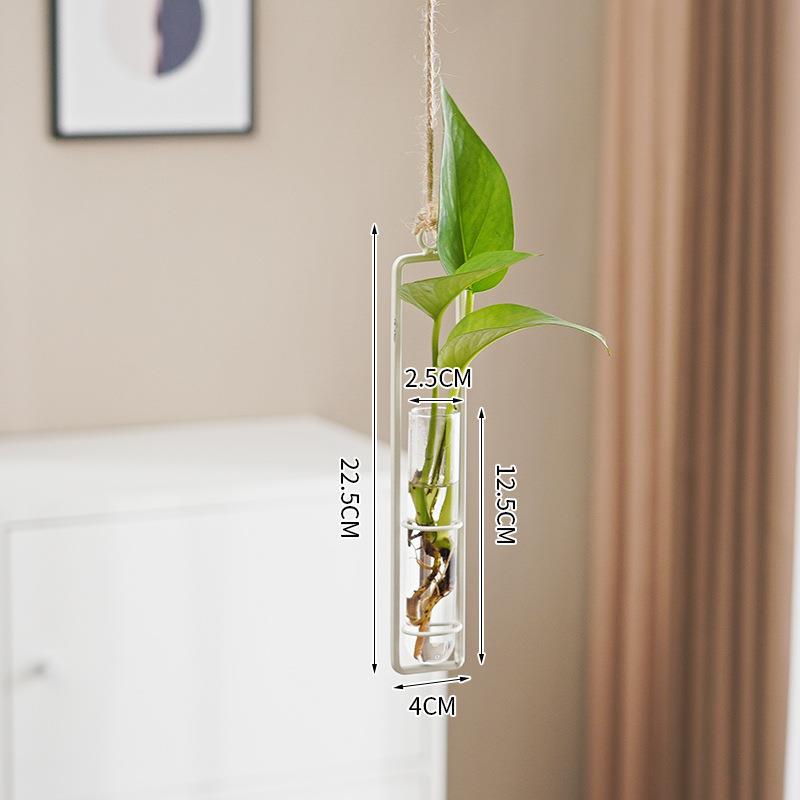 Scandinavian-Style Glass Hydroponic Cultivation hanging pot