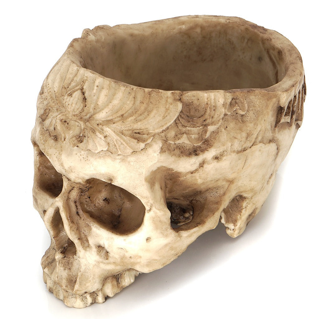 Resin Skull Head Flower Pot Skull Head succulent Flower Pot