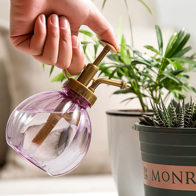 Plant Spray Bottle