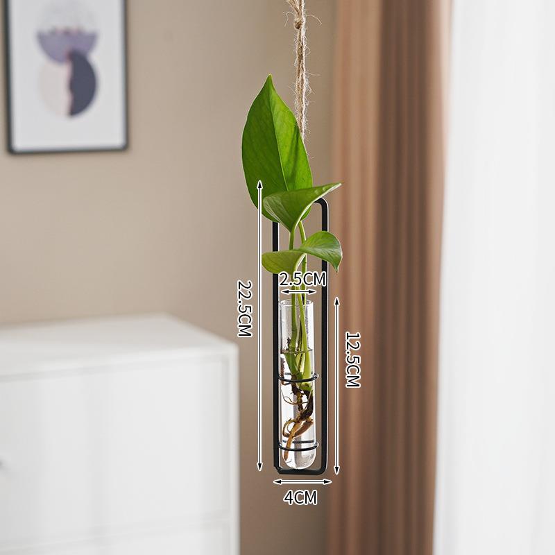 Scandinavian-Style Glass Hydroponic Cultivation hanging pot