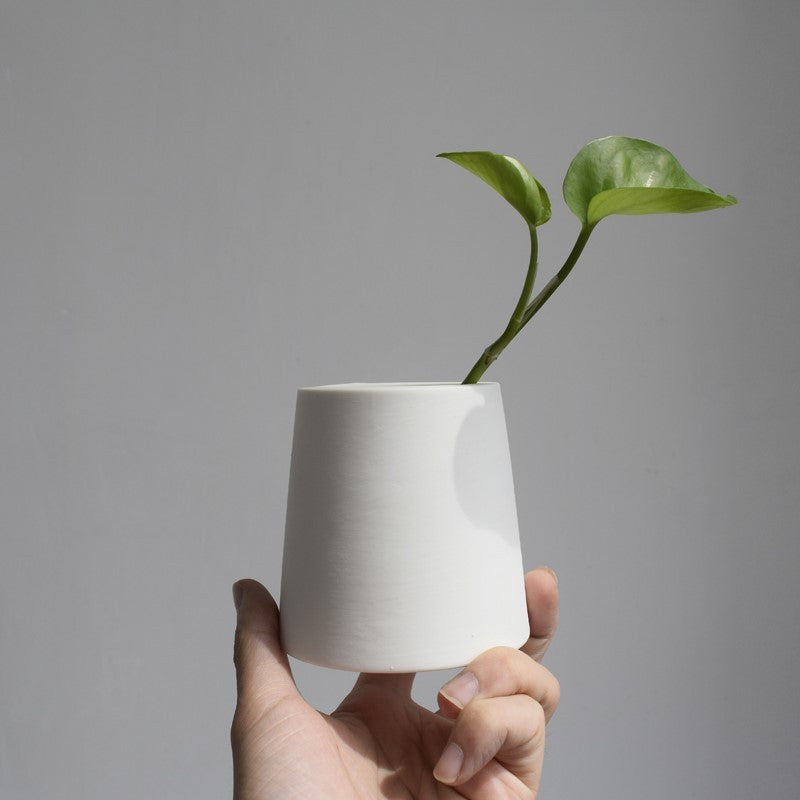 ceramic indoor pots