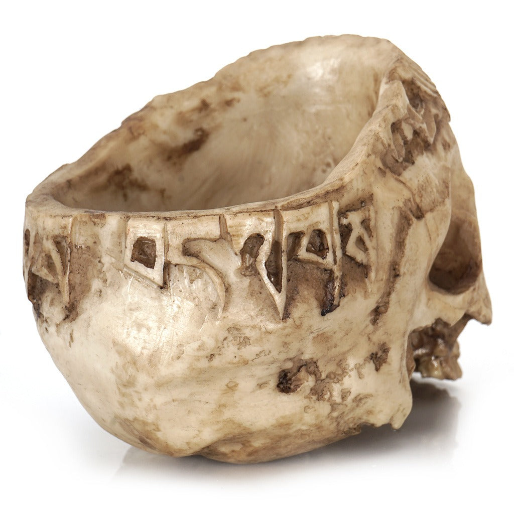Resin Skull Head Flower Pot Skull Head succulent Flower Pot