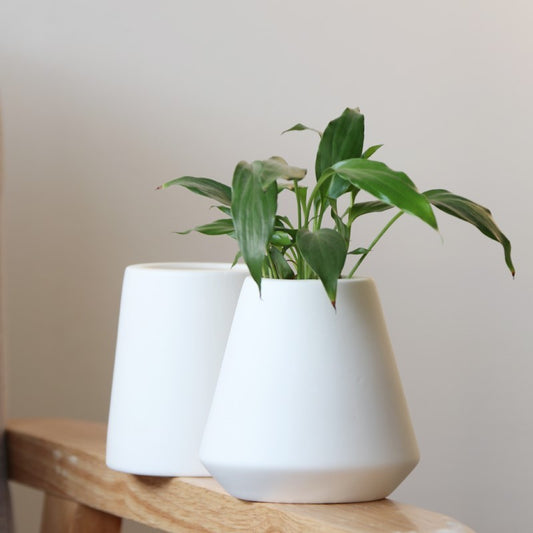 ceramic indoor pots
