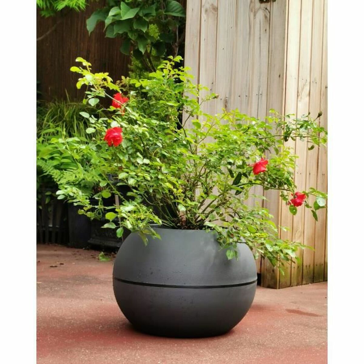 Plant pot Riviera 814276 Grey Circular Ball Ø 40 cm-2