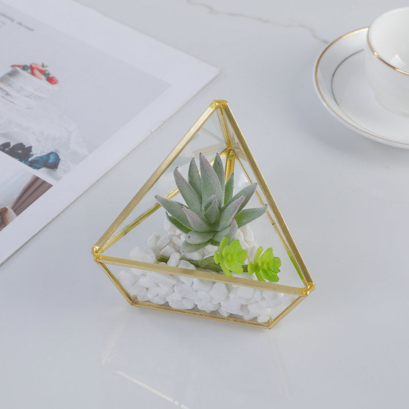 Three-dimensional Glass succulent pot