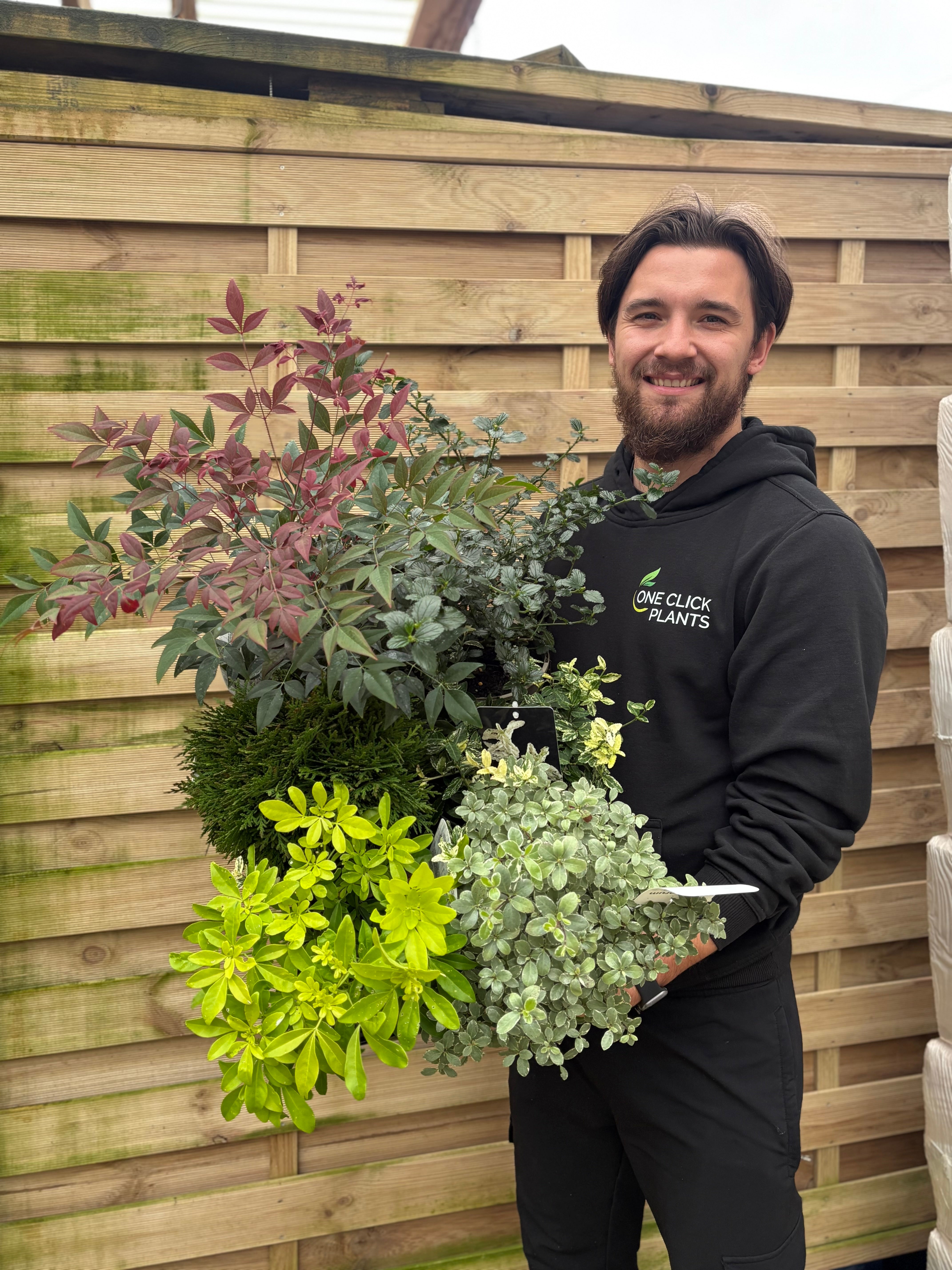 Shrub Mix Module Special offer Shrub Mix – TropicoPlants