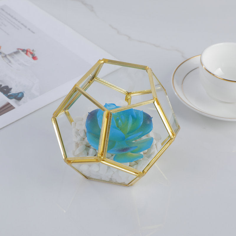 Three-dimensional Glass succulent pot