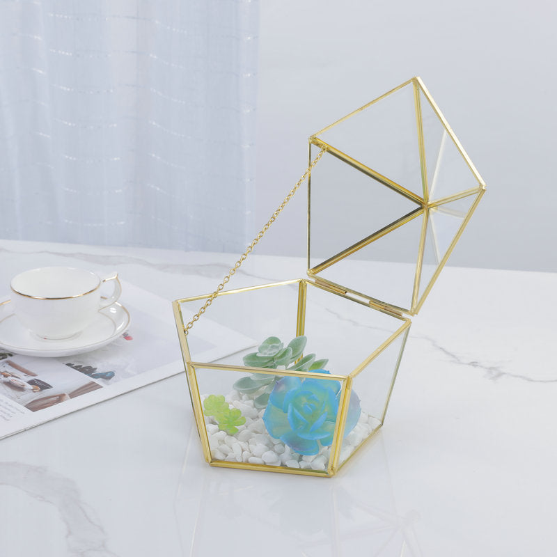 Three-dimensional Glass succulent pot