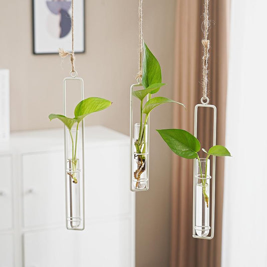 Scandinavian-Style Glass Hydroponic Cultivation hanging pot