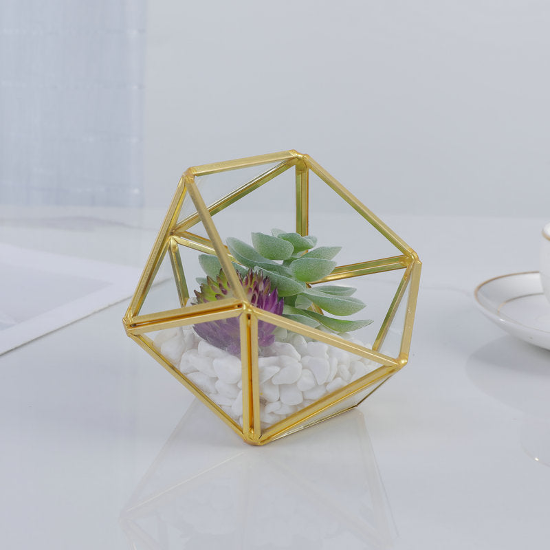 Three-dimensional Glass succulent pot