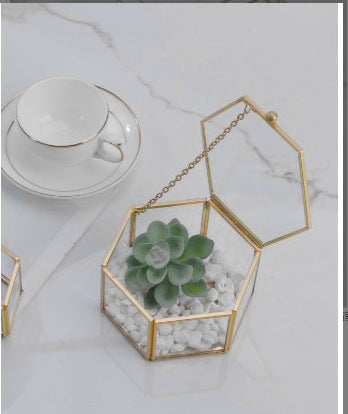 Three-dimensional Glass succulent pot