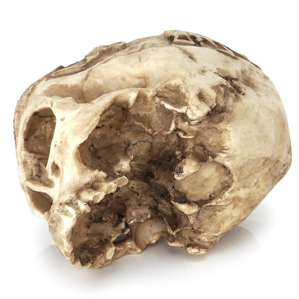 Resin Skull Head Flower Pot Skull Head succulent Flower Pot