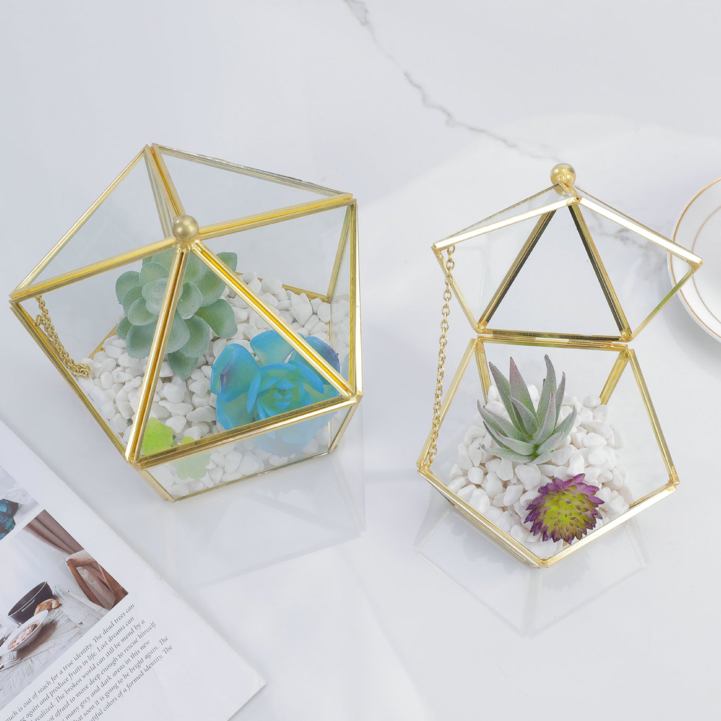 Three-dimensional Glass succulent pot