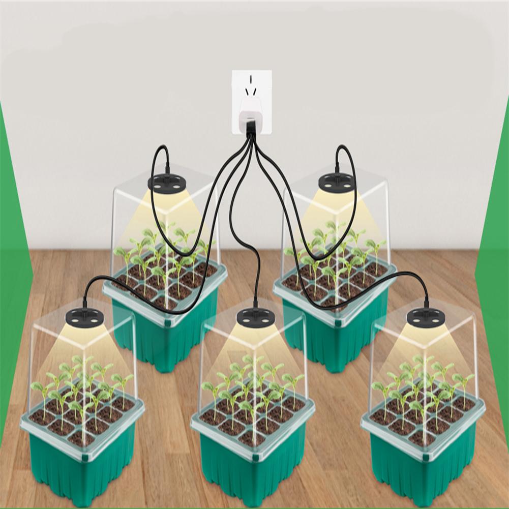 Light Seedling Box