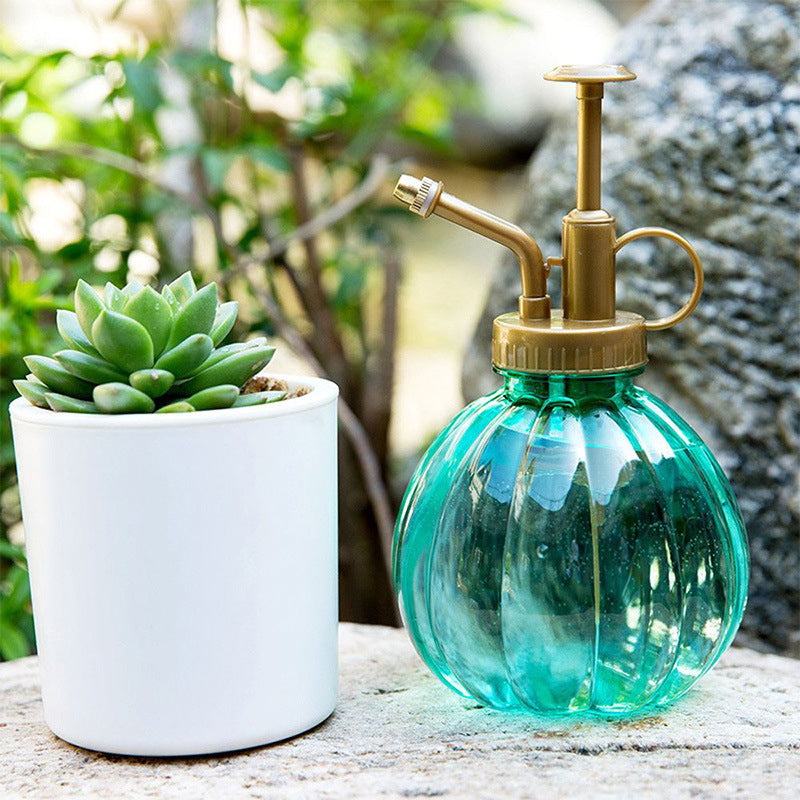 Plant Spray Bottle