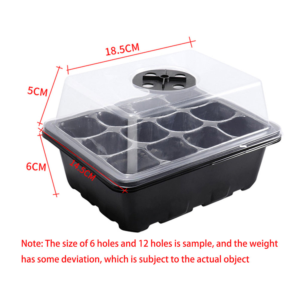 Light Seedling Box