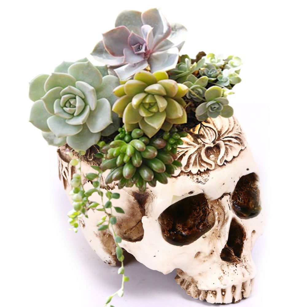 Resin Skull Head Flower Pot Skull Head succulent Flower Pot
