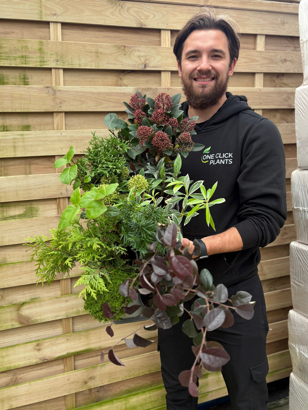 Shrub Mix Module Special offer Shrub Mix – TropicoPlants