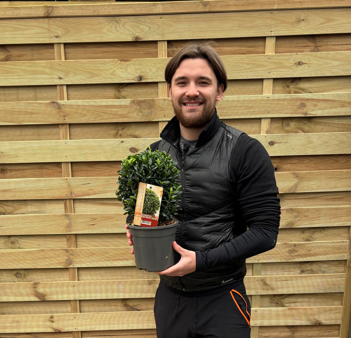 Euonymus japonicus Ball 'Green Spire' 2L/5L