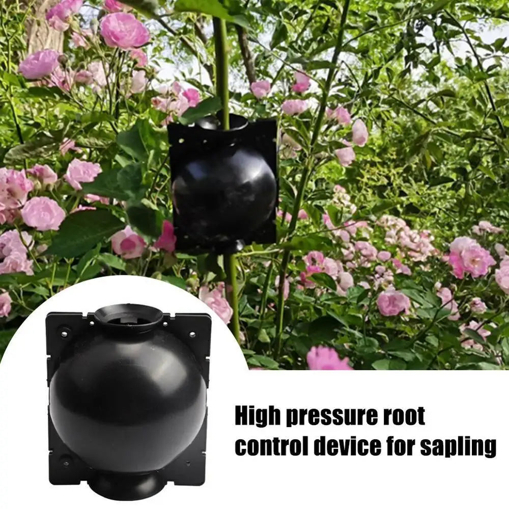 5pcs Plant Rooting Ball