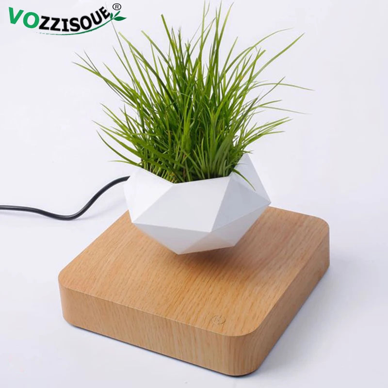Levitating Air Bonsai plant Pot Magnetic Levitation