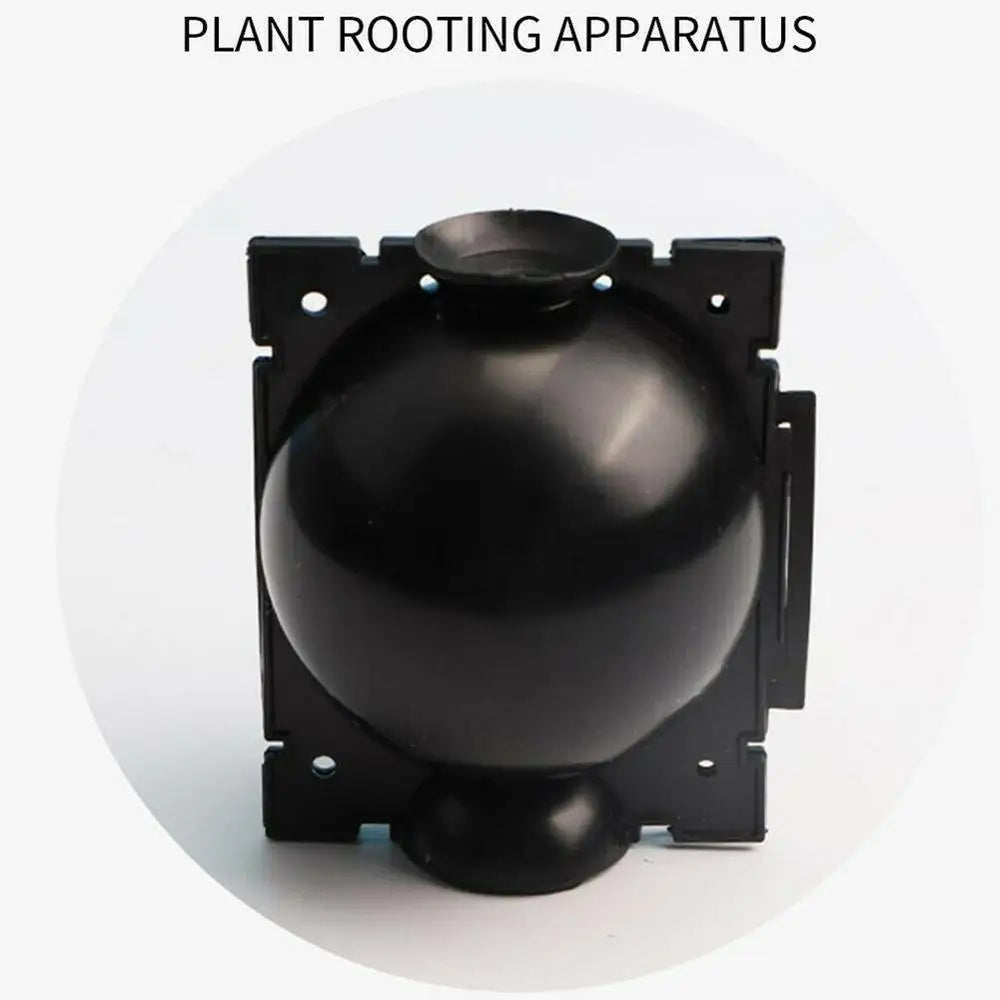 5pcs Plant Rooting Ball