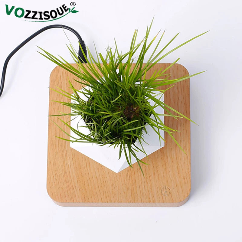 Levitating Air Bonsai plant Pot Magnetic Levitation