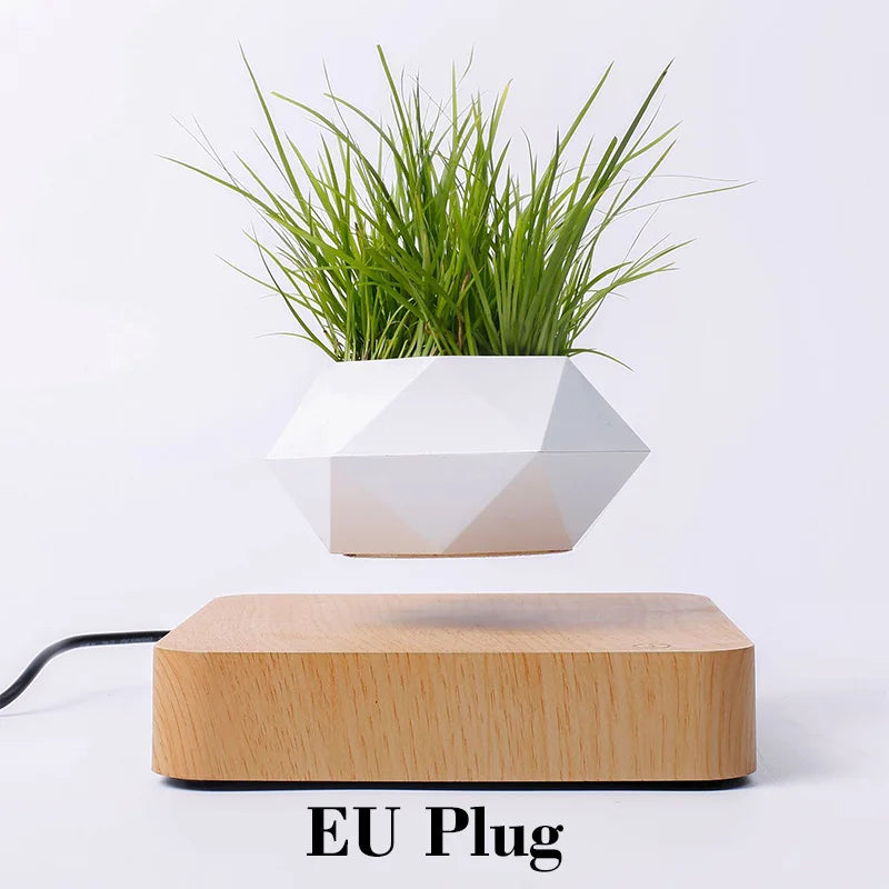 Levitating Air Bonsai plant Pot Magnetic Levitation