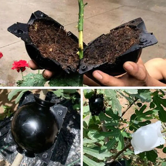 5pcs Plant Rooting Ball