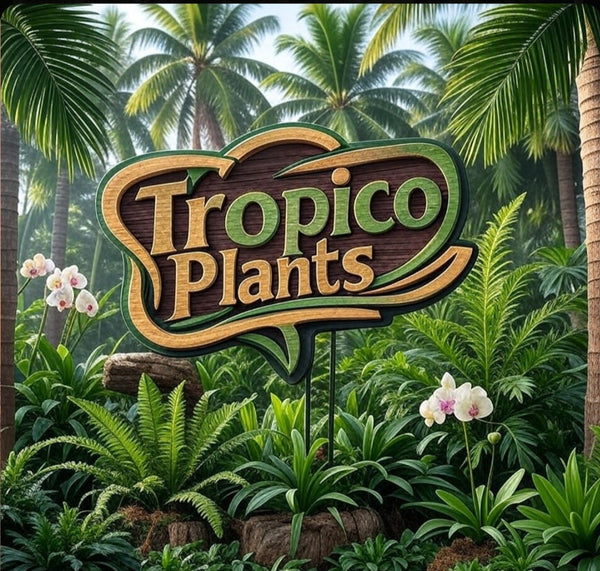 Tropico Plants app interface with tropical plants and logo