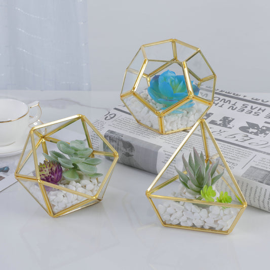 Three-dimensional Glass succulent pot
